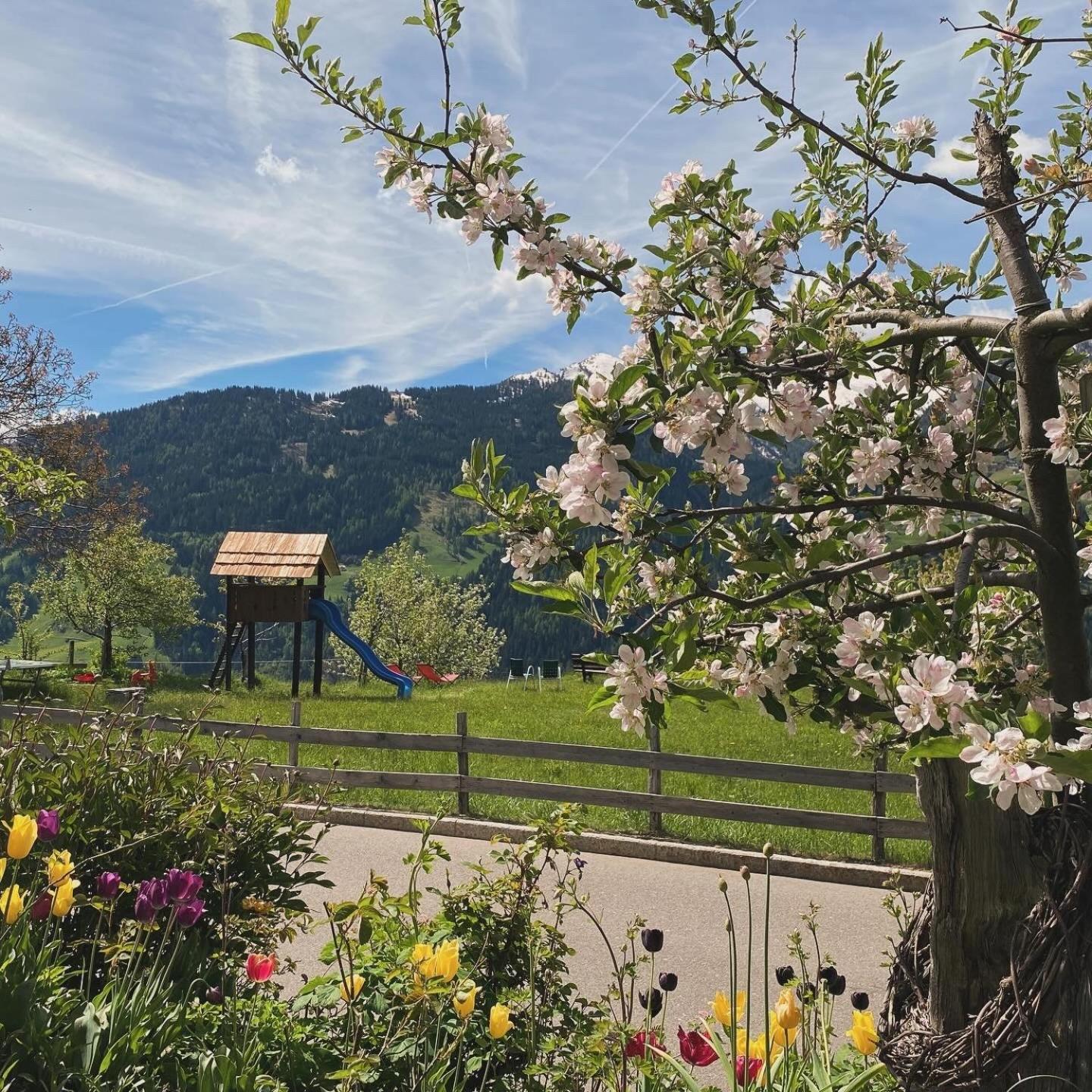 Hotel Alpenland Moso Kültér fotó