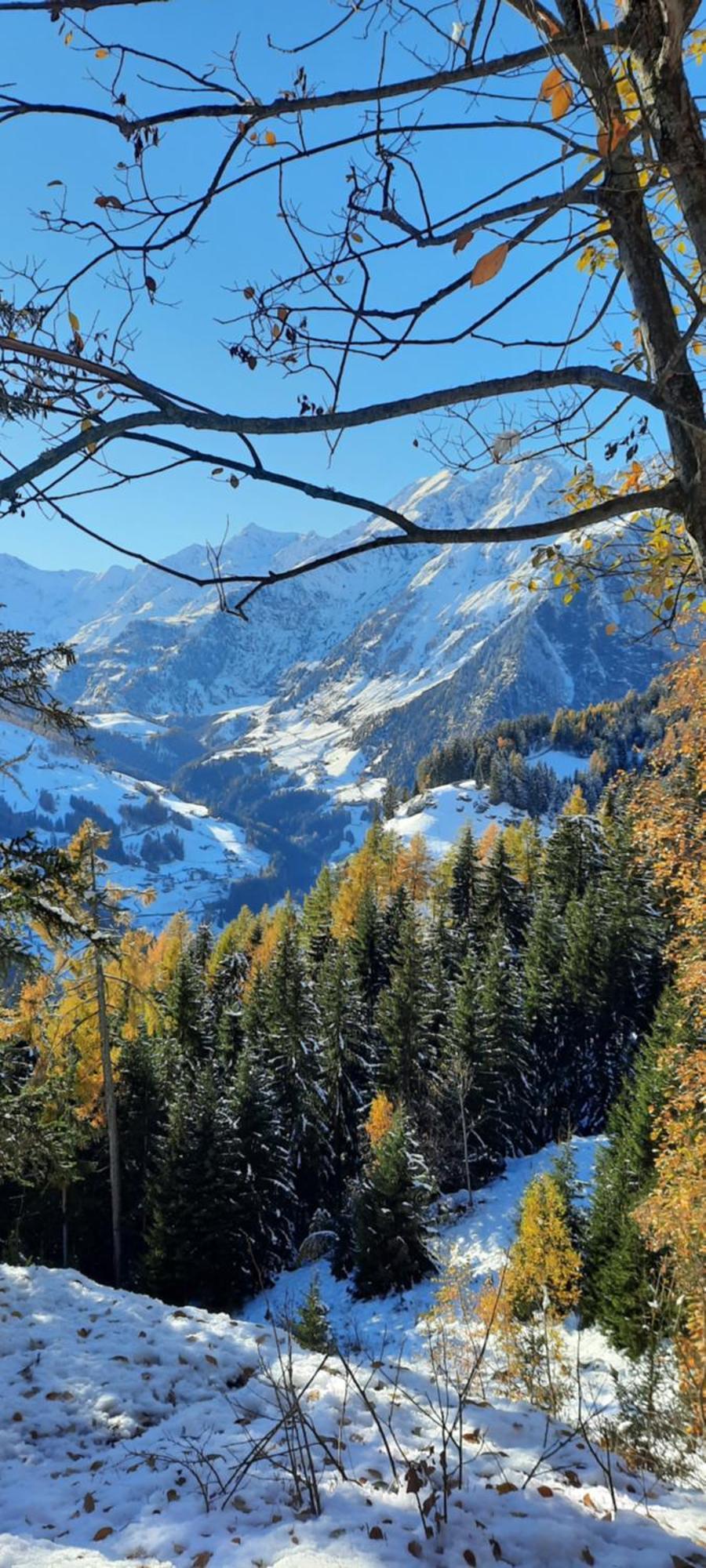 Hotel Alpenland Moso Kültér fotó